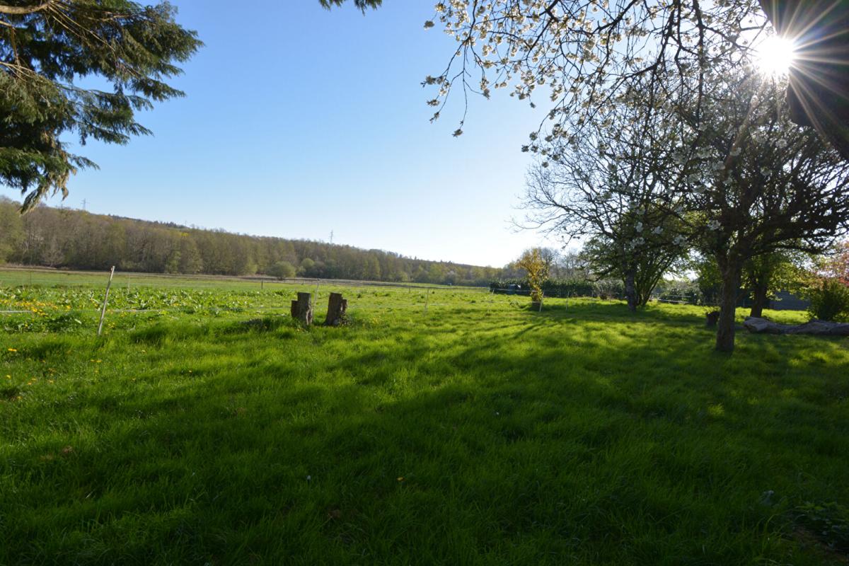 IVOY-LE-PRE Maison Ivoy Le Pre 15