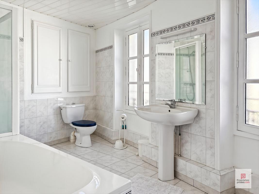 LA FLECHE Maison de Maitre - La Fleche 9 pièce(s) 244 m2 10