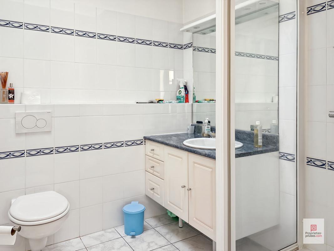 LA FLECHE Maison de Maitre - La Fleche 9 pièce(s) 244 m2 13