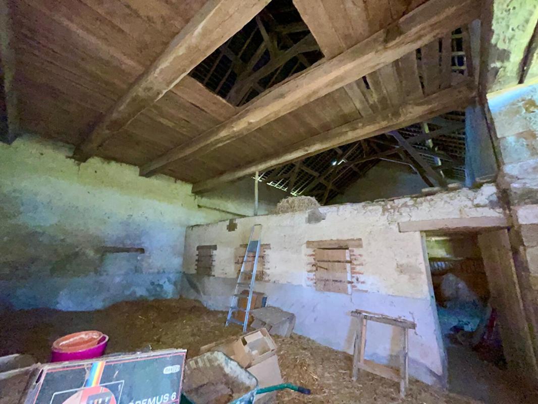 MOUSSY Belle propriété ancienne avec garages et grand terrain - Secteur calme 15