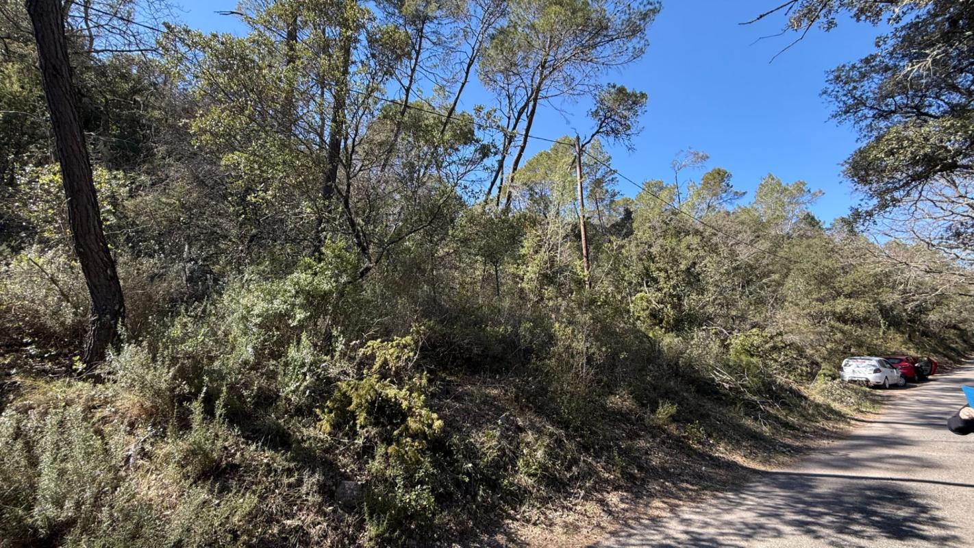 ENTRECASTEAUX Terrain forestier 5220m² Entrecasteaux 1