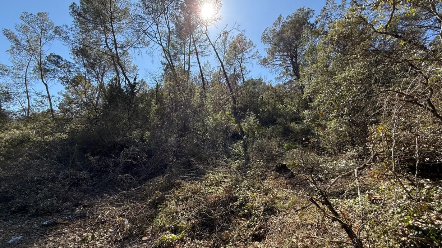 ENTRECASTEAUX Terrain forestier 5220m² Entrecasteaux 3