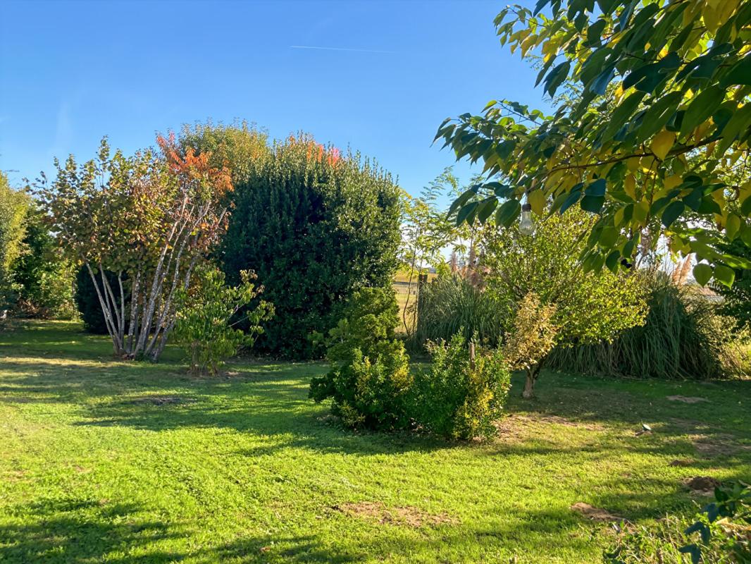 SAUTERNES Magnifique propriété rénovée et jardin paysager au coeur de Sauternes 12