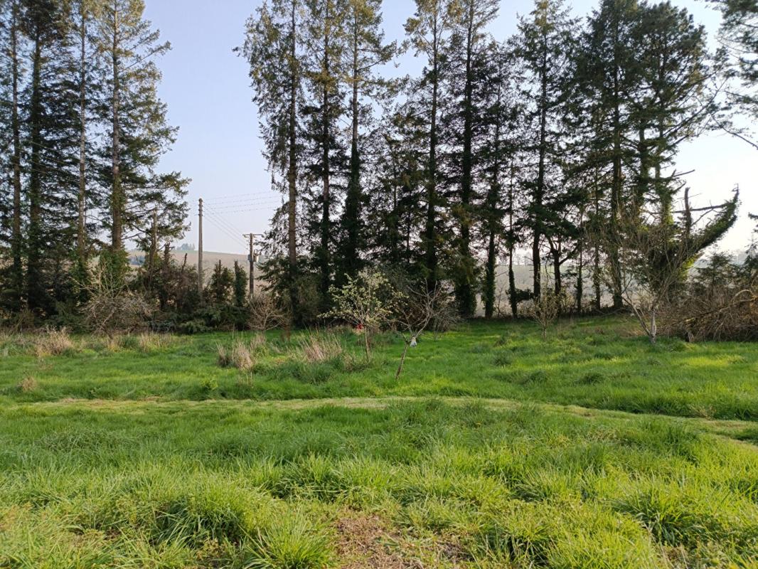 POULLAOUEN maison 140M2  2 chambres 17