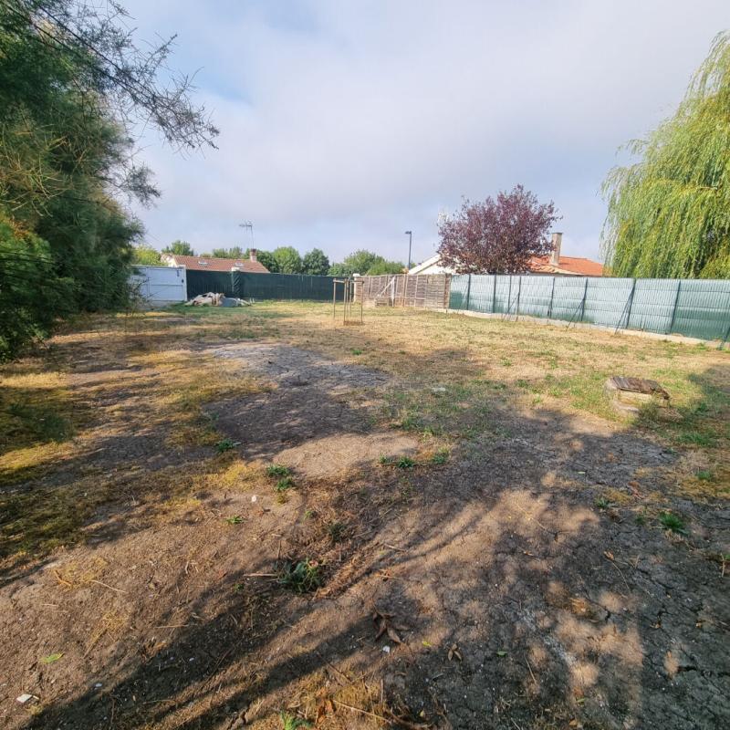 GRUES Terrain Grues 2