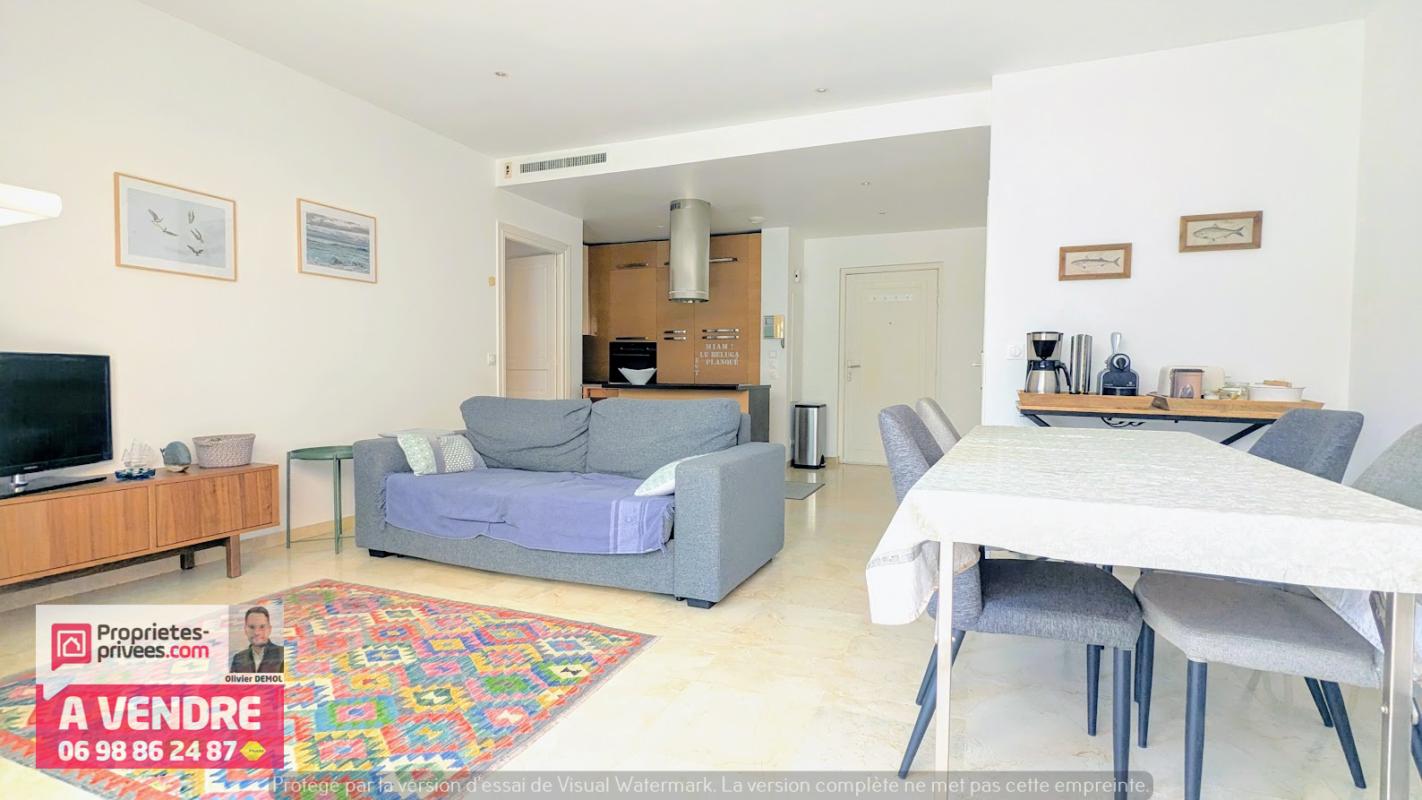 THEOULE-SUR-MER MAGNIFIQUE 2 PIECES DE 55 m² AVEC VASTE TERRASSE 8