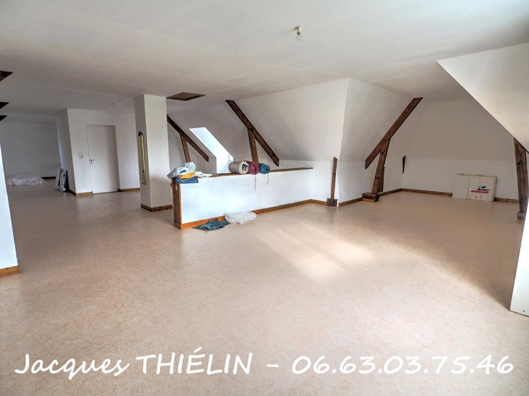 LONGUE-JUMELLES Au coeur de Longué-Jumelles volumes remarquables et parc arboré pour cette propriété d'exception 11