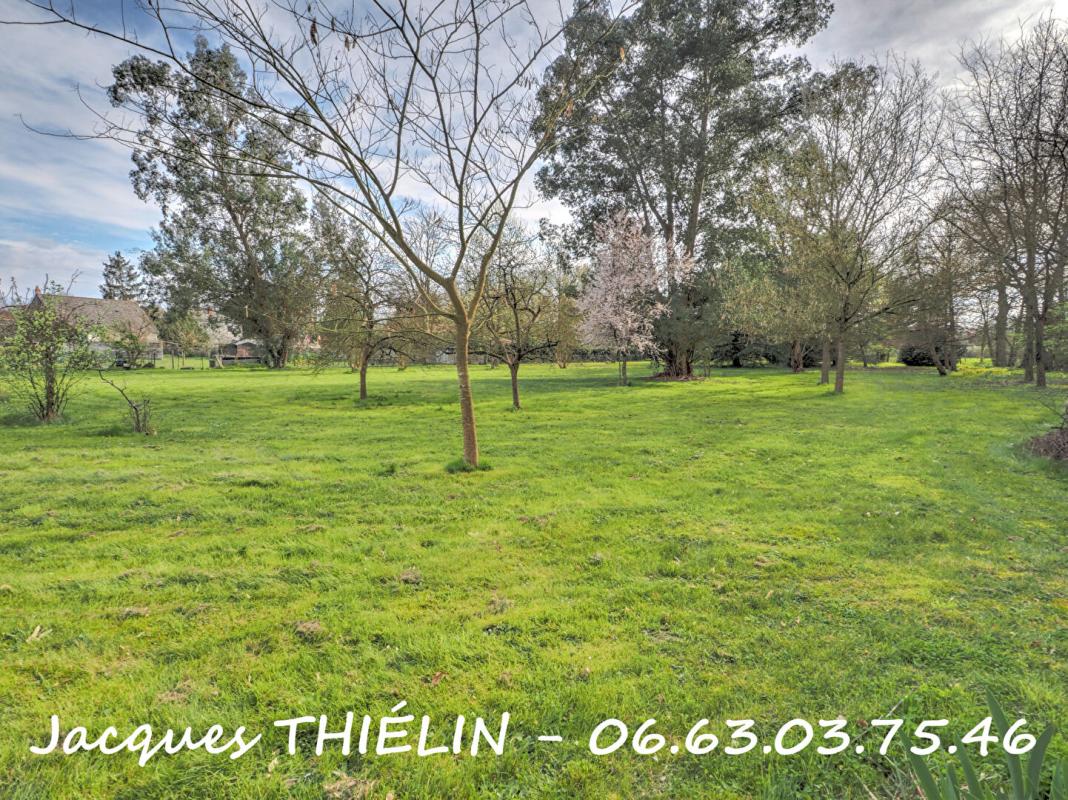 LONGUE-JUMELLES Au coeur de Longué-Jumelles volumes remarquables et parc arboré pour cette propriété d'exception 17