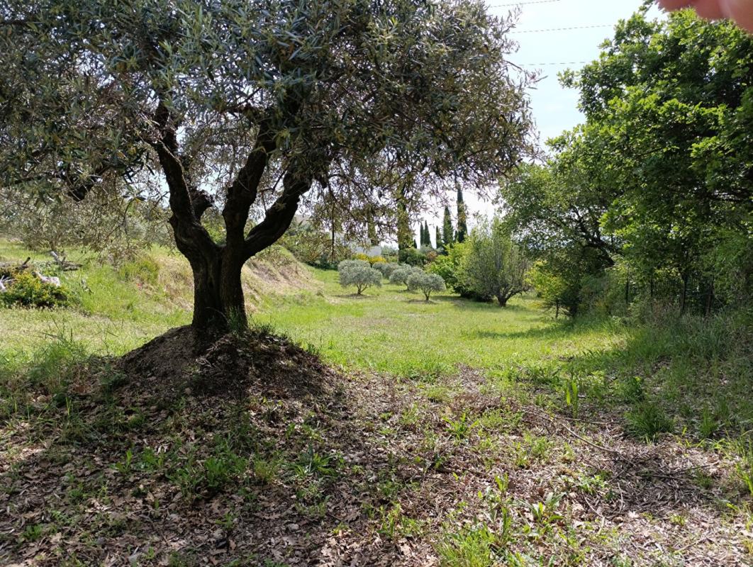 MANOSQUE Magnifique terrain 1840 m2 vue panoramique ! 5