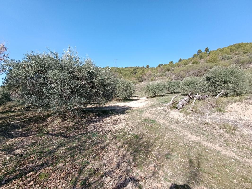 MANOSQUE Magnifique terrain 1840 m2 vue panoramique ! 8