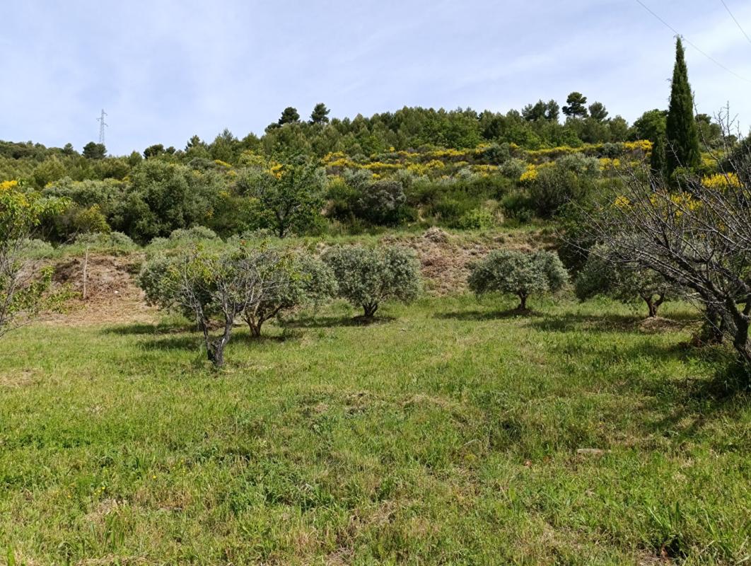 MANOSQUE Magnifique terrain 1840 m2 vue panoramique ! 3