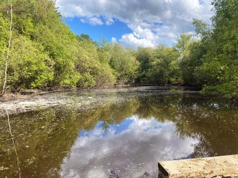 DUSSAC Etang avec clairière 1