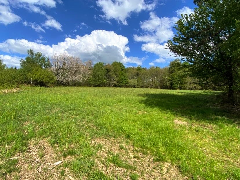 DUSSAC Etang avec clairière 3