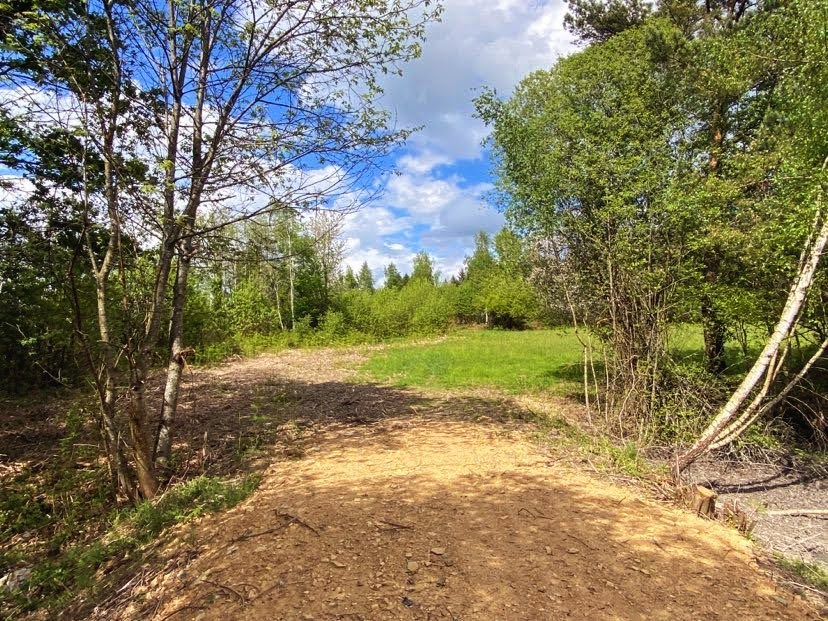 DUSSAC Etang avec clairière 5