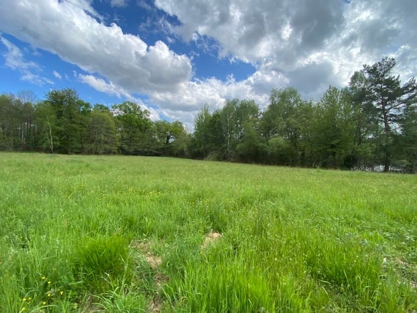 DUSSAC Etang avec clairière 6