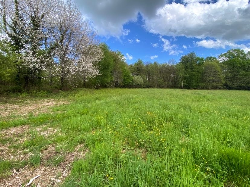 DUSSAC Etang avec clairière 7