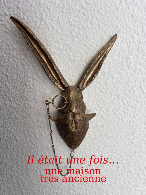 THIZY THIZY -LES-BOURGS. Maison ancienne rénovée 6 pièces 162m2 + 305m2 de dépendances + jardin 1