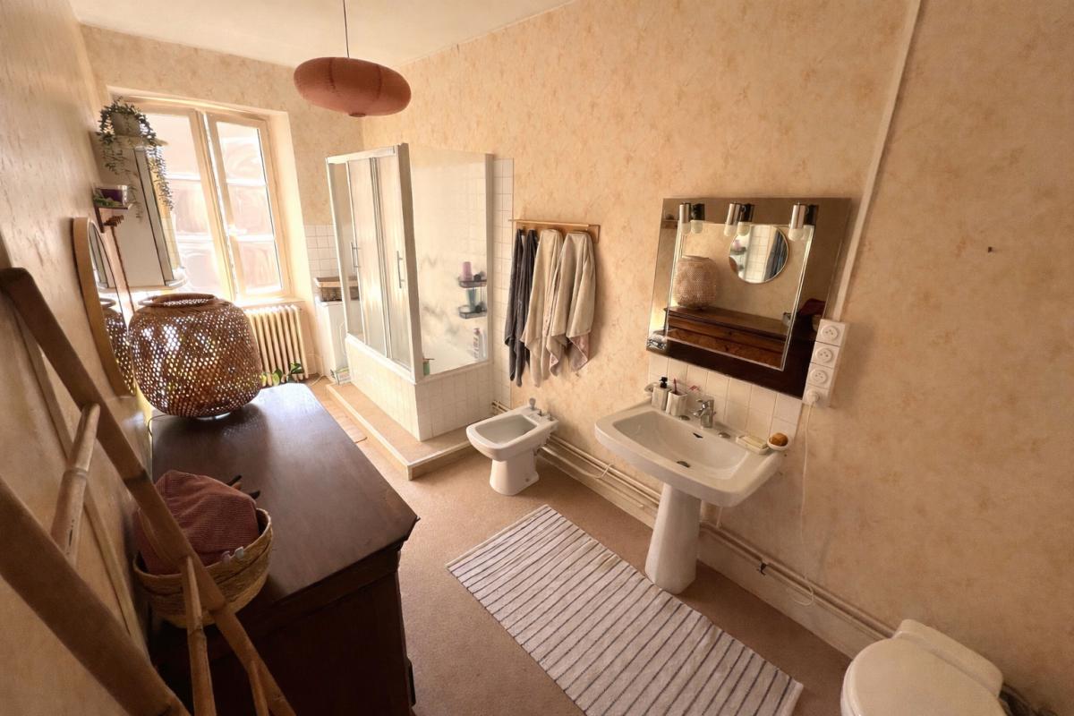 THIZY THIZY -LES-BOURGS. Maison ancienne rénovée 6 pièces 162m2 + 305m2 de dépendances + jardin 11