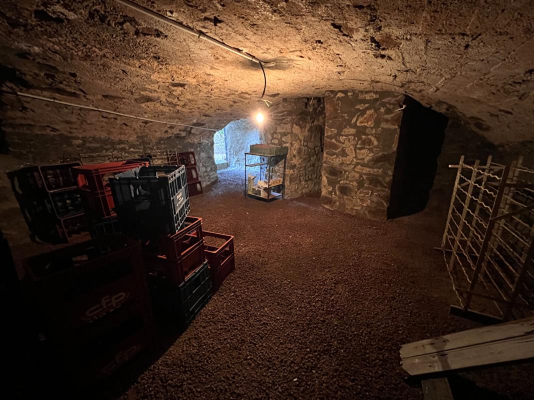 THIZY THIZY -LES-BOURGS. Maison ancienne rénovée 6 pièces 162m2 + 305m2 de dépendances + jardin 14