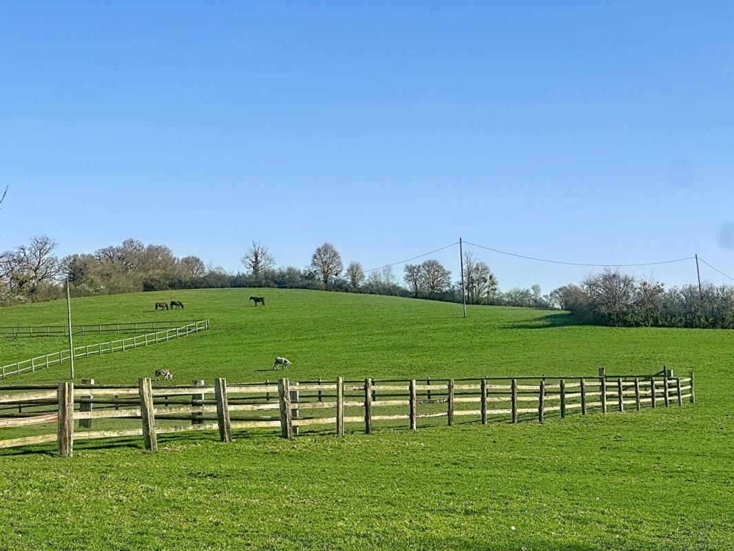 REUX MAISON CONTEMPORAINE EN OSSATURE BOIS ? RÉNOVATION RÉCENTE & CADRE PRIVILÉGIÉ ? 3
