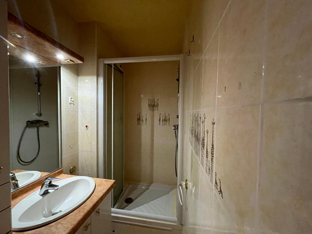 BOURG-EN-BRESSE Appartement Bourg En Bresse 5 pièce(s) 7