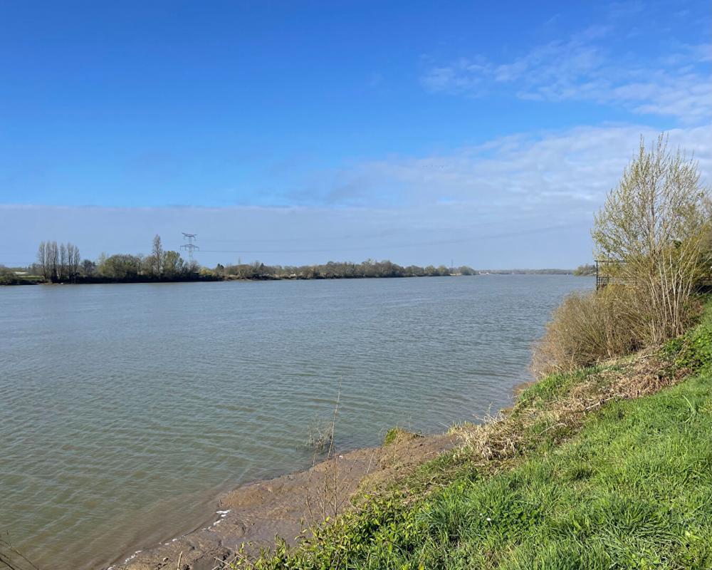 CAMBES Maison en pierre vue sur la Garonne - Fort potentiel - Cambes 11