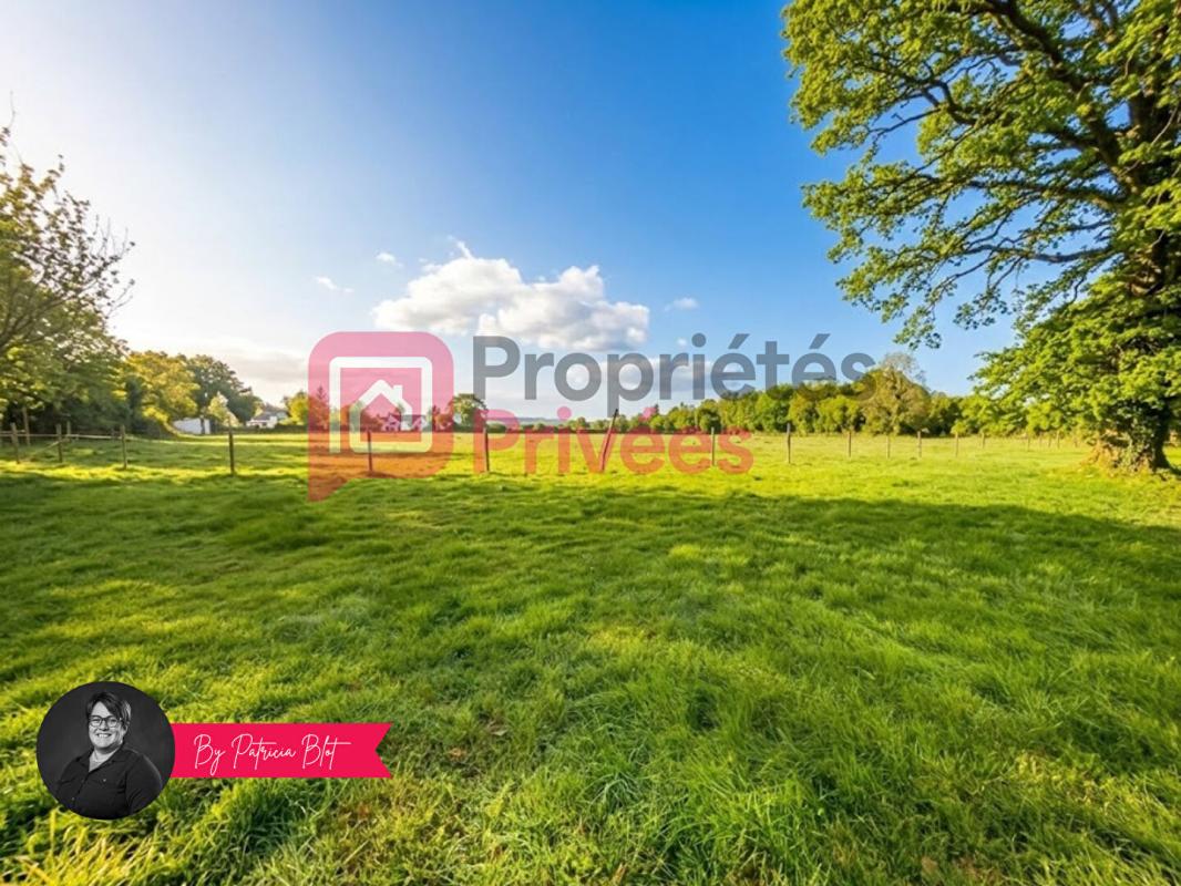 MALANSAC Maison de plain-pied avec plus d'1,6 hectare de nature  - Campagne de Malansac 13