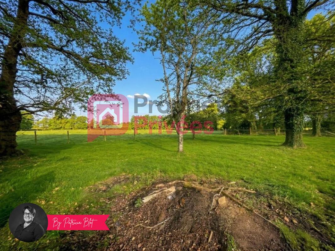 MALANSAC Maison de plain-pied avec plus d'1,6 hectare de nature  - Campagne de Malansac 2