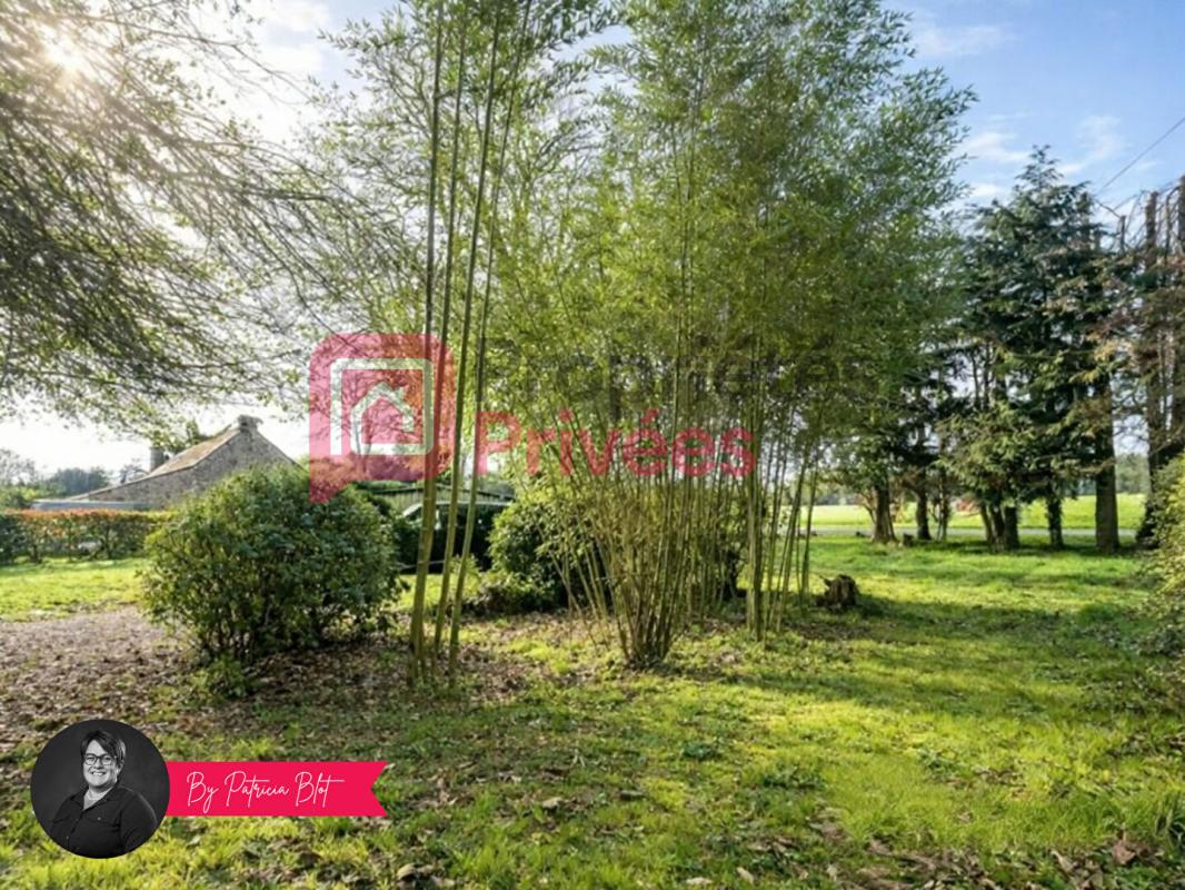 MALANSAC Maison de plain-pied avec plus d'1,6 hectare de nature  - Campagne de Malansac 4