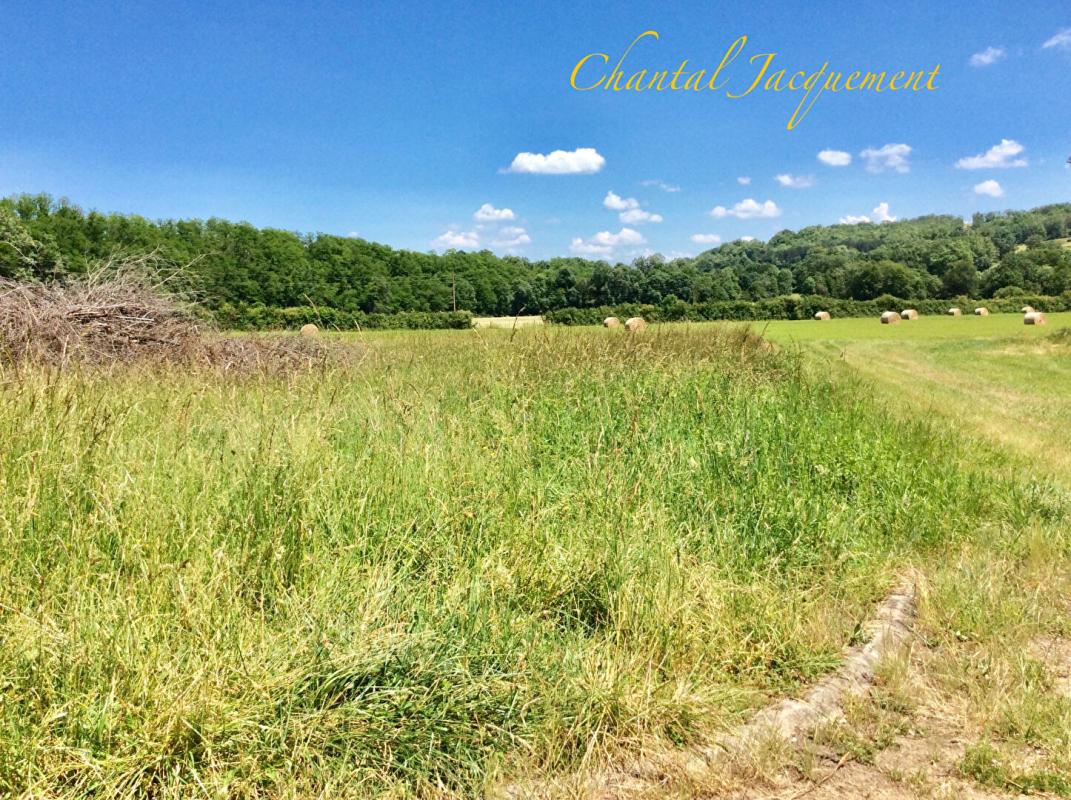 SAINT-JEAN-DE-COLE TERRAIN A BATIR 1