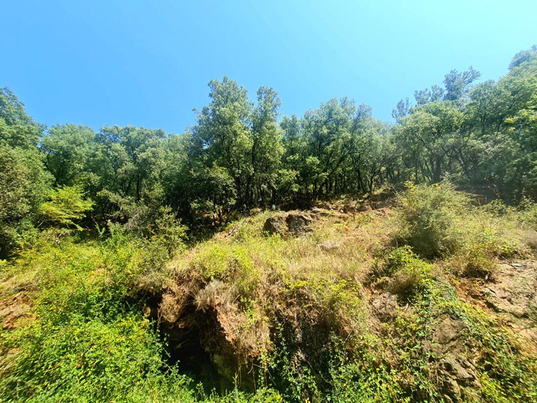 LES SALLES-DU-GARDON Mas en pierre Cévennes + 9,4 ha terrain - source - panneaux solaires - dépendance 17