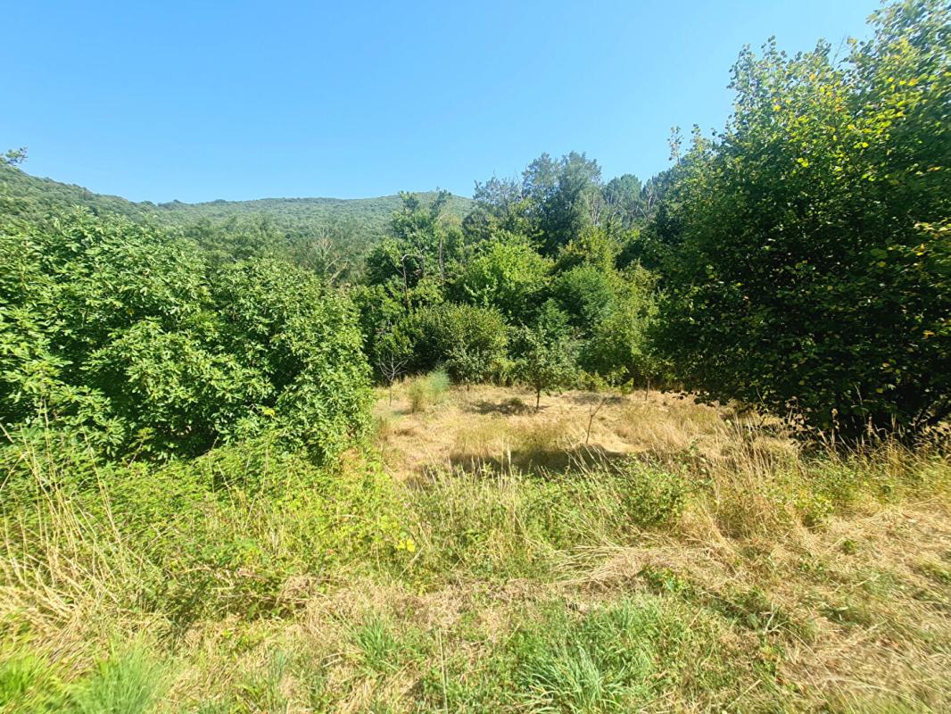 LES SALLES-DU-GARDON Mas en pierre Cévennes + 9,4 ha terrain - source - panneaux solaires - dépendance 18