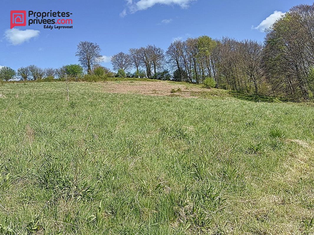 PERRIERS-EN-BEAUFICEL Splendide propriété de 197m² 17