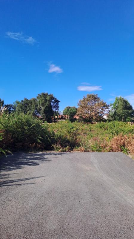 MOLIETS-ET-MAA TERRAIN CONSTRUCTIBLE 1