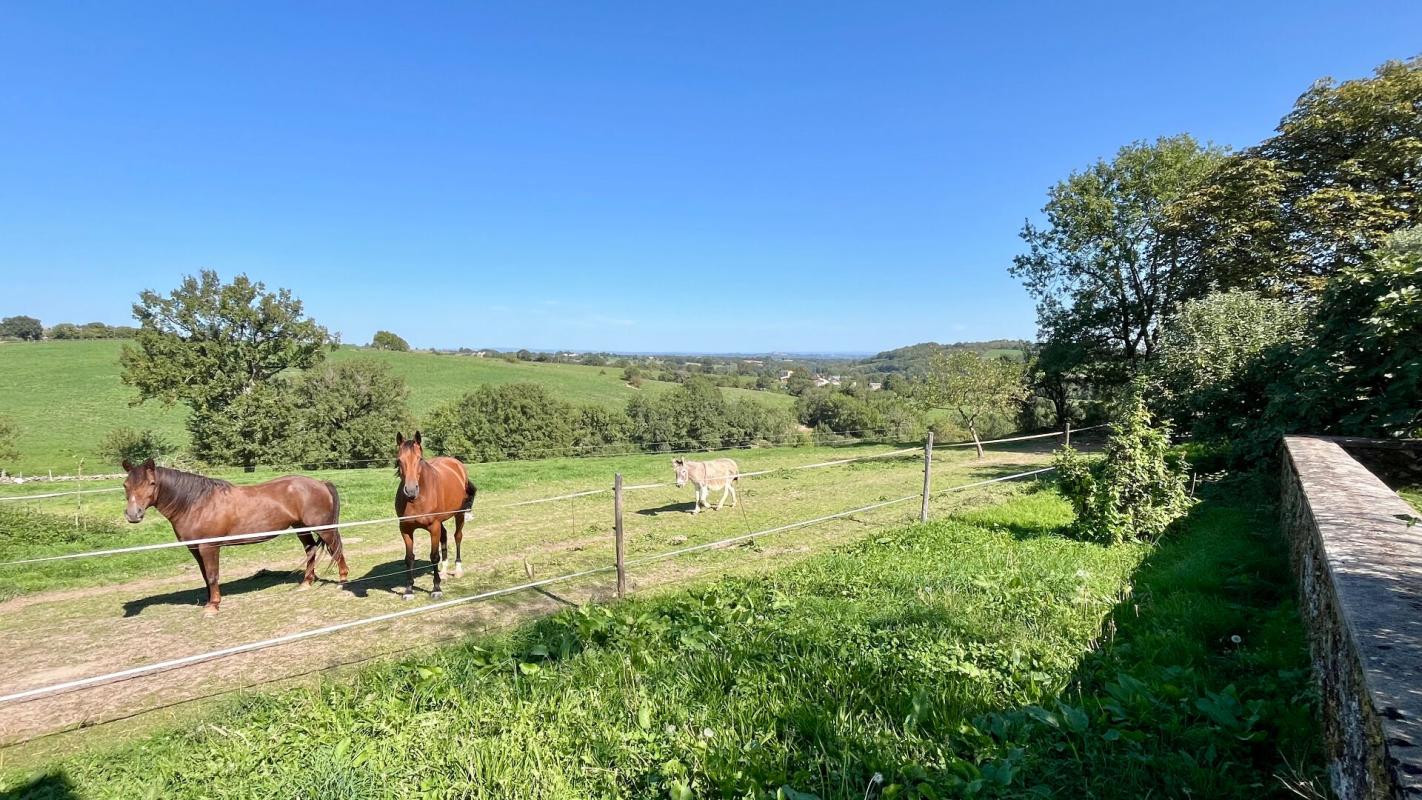 CARMAUX Ancien corps de ferme rénové, 240 m2 17