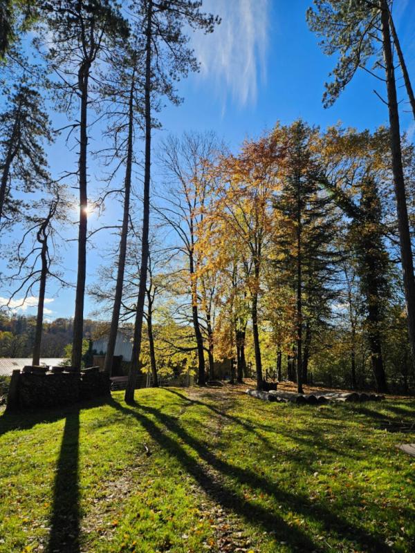 LEGNA Propriété jurassienne, 245m2 de surface habitable et 4 Ha de terrain attenant 14