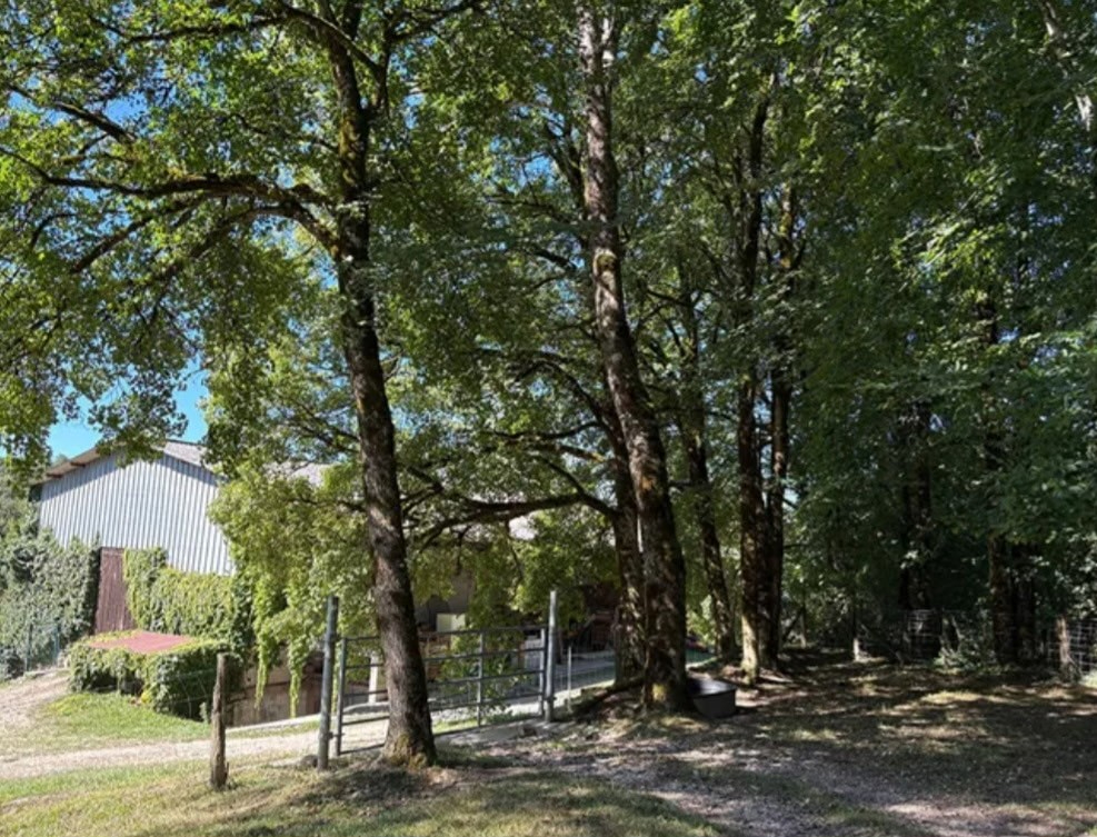 LEGNA Propriété jurassienne, 245m2 de surface habitable et 4 Ha de terrain attenant 15