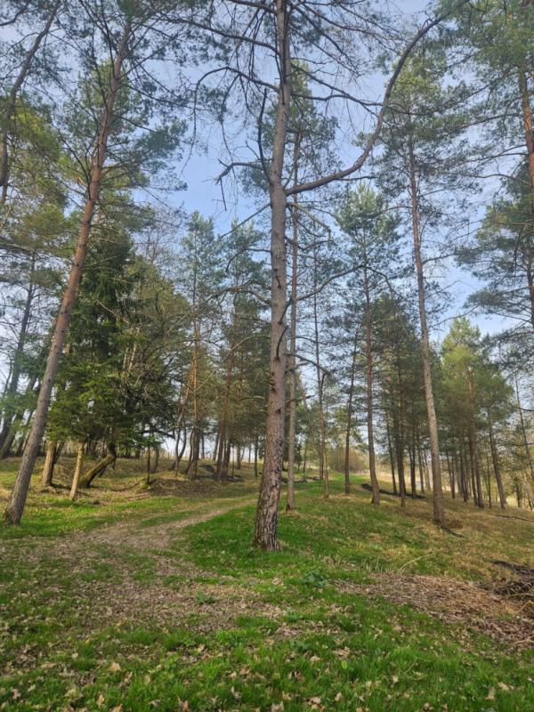 LEGNA Propriété jurassienne, 245m2 de surface habitable et 4 Ha de terrain attenant 17