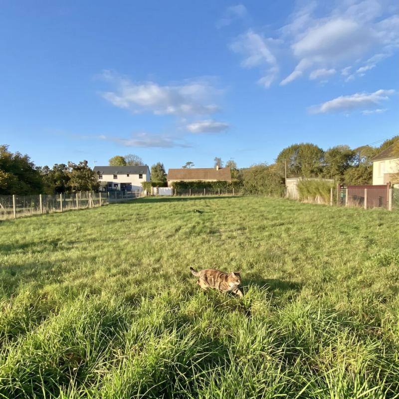 PACY-SUR-EURE TERRAIN CONSTRUCTIBLE DE 431 M2 - PACY SUR EURE CENTRE - 72000 HAI 2