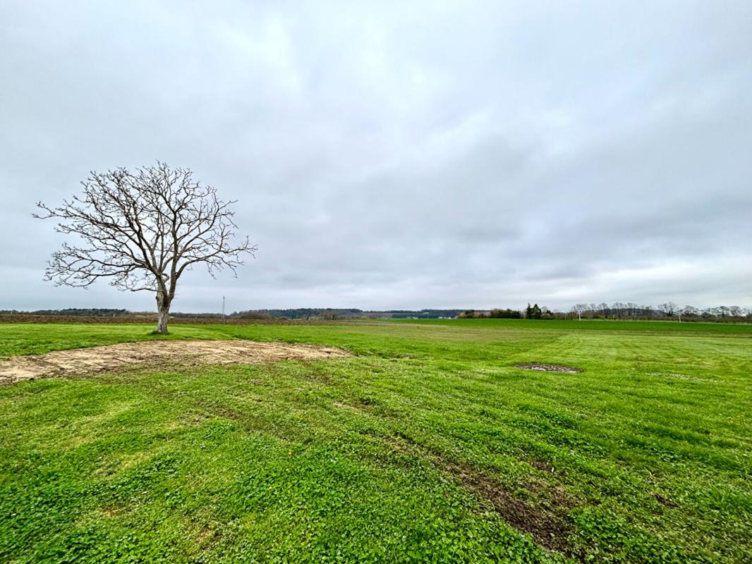 MAZE Longère Maze Milon 160 m2 18