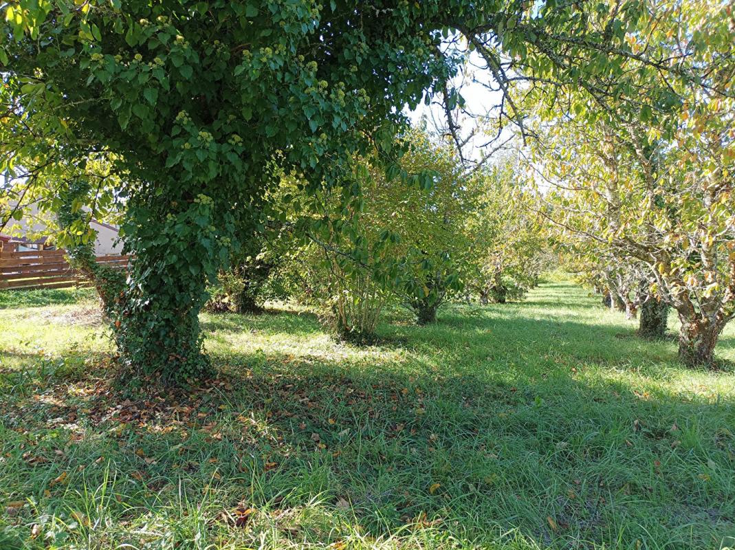 SAINT-VINCENT-RIVE-D'OLT LUZECH .Terrain constructible à vendre 6