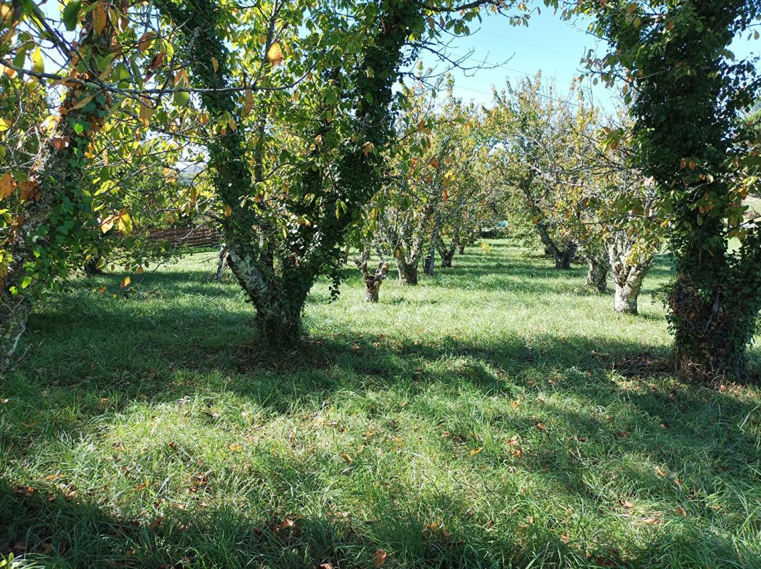 SAINT-VINCENT-RIVE-D'OLT LUZECH .Terrain constructible à vendre 7