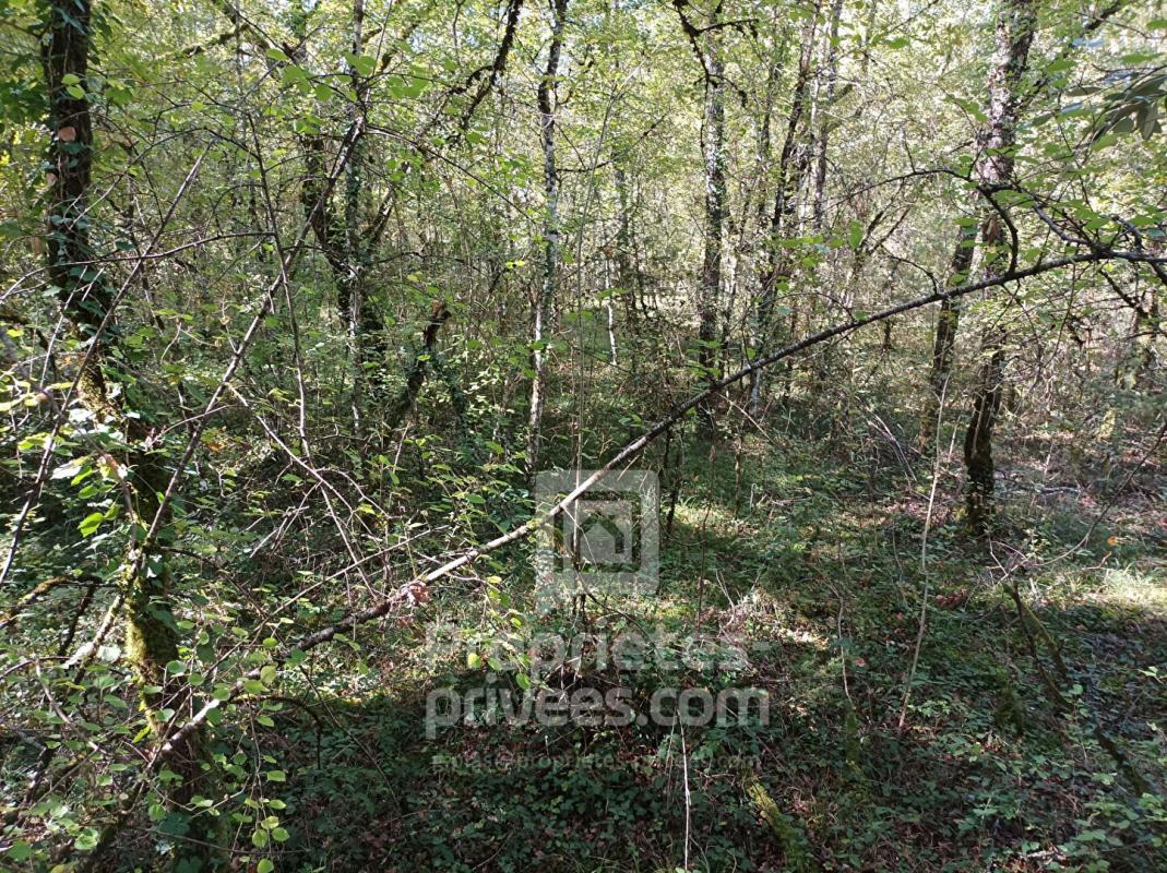 MONTGESTY Terrain Montgesty 4515 m2 4