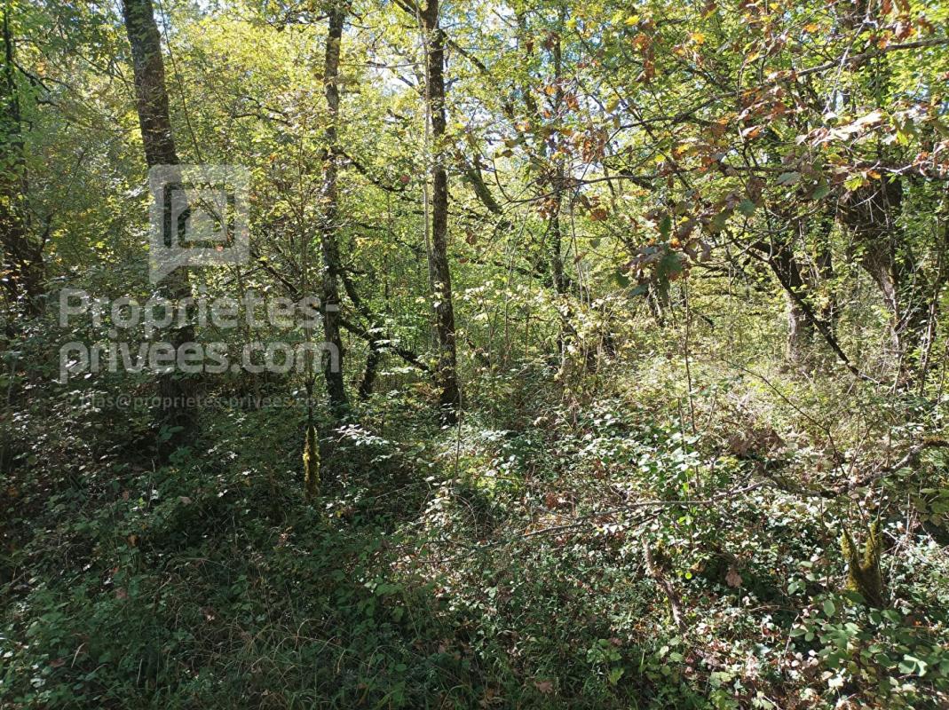 MONTGESTY Terrain Montgesty 4515 m2 6