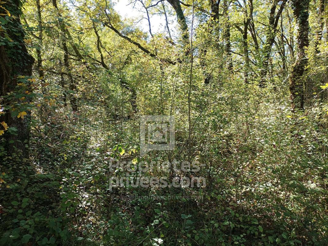 MONTGESTY Terrain Montgesty 4515 m2 7