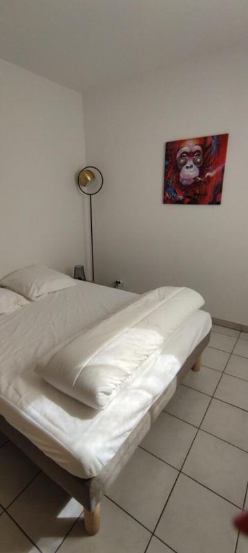 MONTPELLIER Exclusivité - Montpellier - Voltaire - Grand appartement deux pièces avec terrasse et garage 3