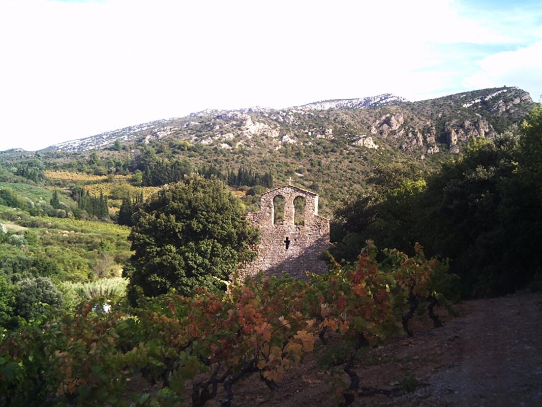 EMBRES-ET-CASTELMAURE Maison avec terrasse et vue imprenable sur les Corbières 12