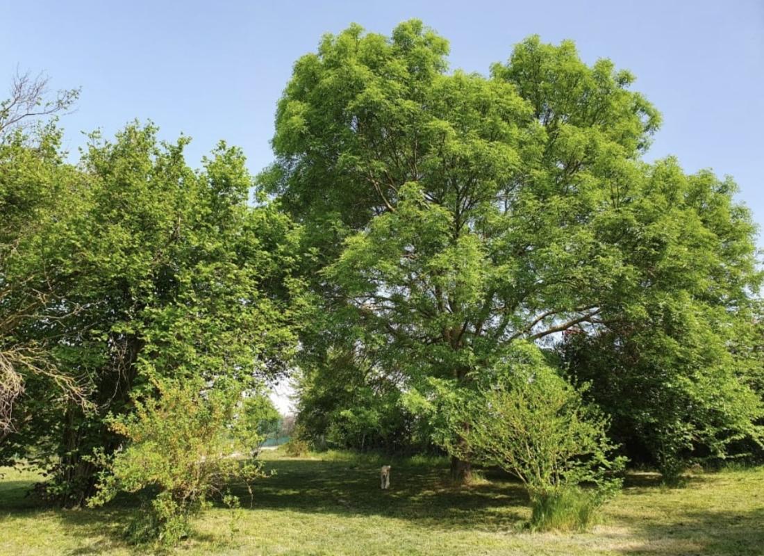 VARREDDES Maison Varreddes 105 m2 8