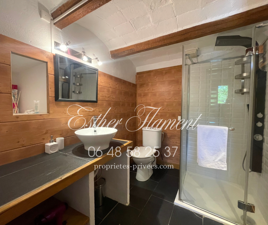 ANDUZE MAS rénové 4 CHAMBRES 15