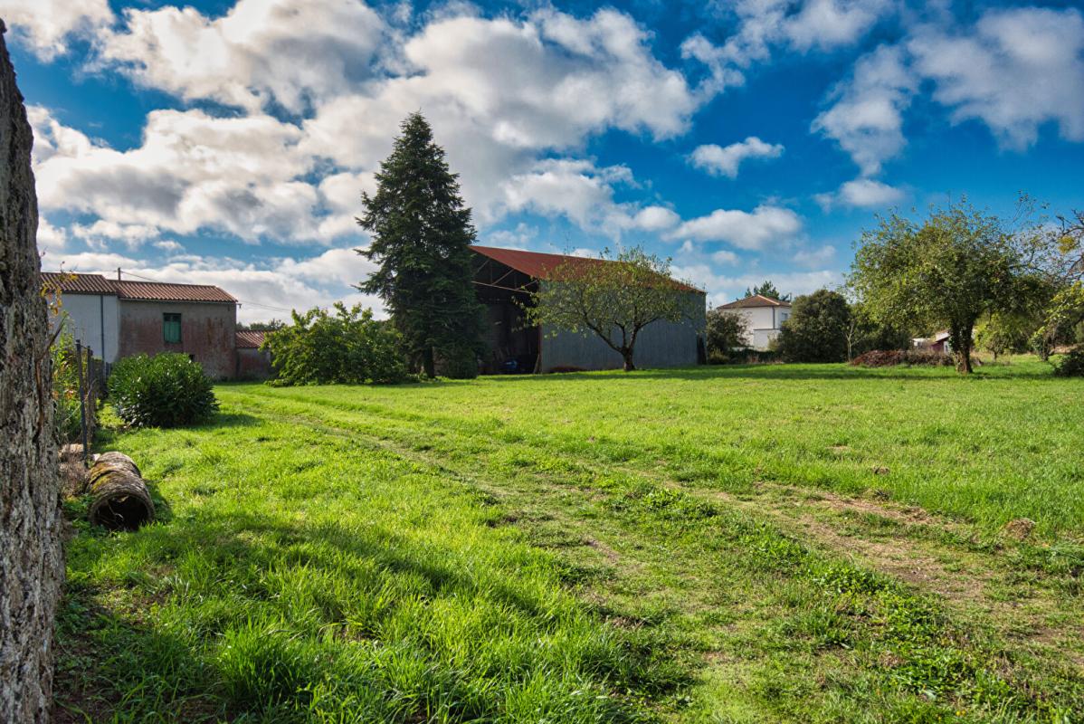 CHATEAU-THEBAUD Maison Chateau Thebaud 5 pièce(s) 15